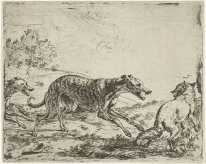 zorro y los tres perros
