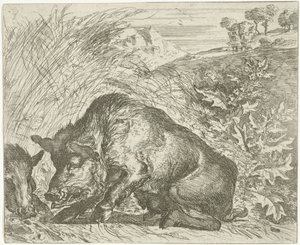 Jabalí Diferentes animales (título de la serie) de Abraham Danielsz. Hondius