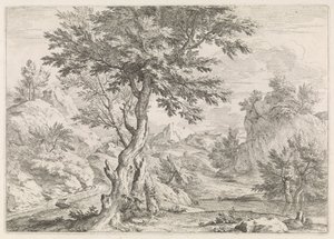 paisaje montañoso con rocas