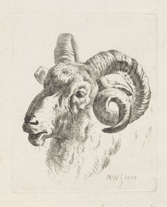cabeza de carnero a la izquierda de Abraham Hendrik Winter