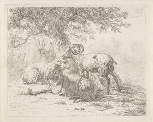 oveja y una cabra de Abraham Hendrik Winter