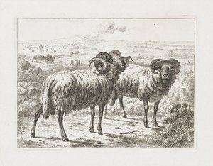 dos carneros