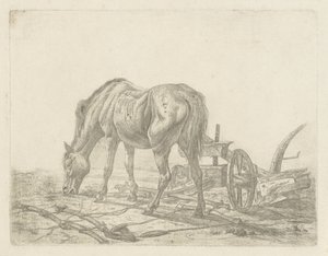 Caballo sin entrenar con un arado