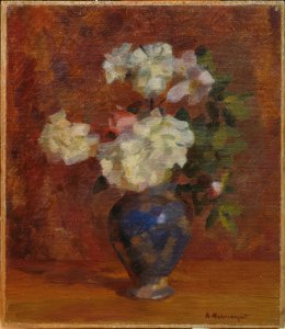 Rosas pequeñas y rosas para perros
