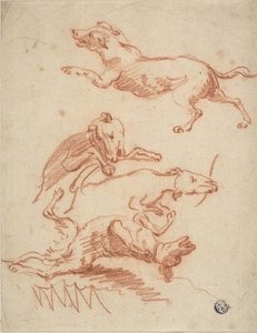 Bocetos de Perros Jugando