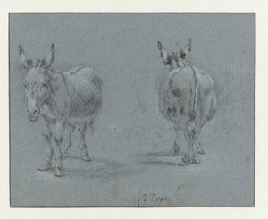 Dos estudios de un burro, visto de frente y por detrás de Abraham Jansz Begeyn