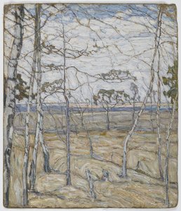 Árboles de abedul de Abraham Manievich