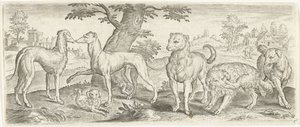 perros Animales (título de la serie) de Abraham de Bruyn (possibly)
