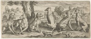 perros Animales (título de la serie) de Abraham de Bruyn (possibly)