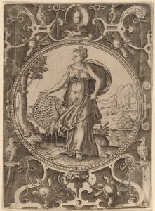 Juno de Abraham de Bruyn