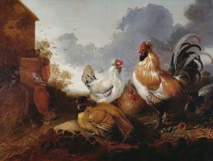 Aves de corral en un corral
