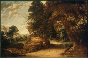 Paisaje boscoso con excursionistas descansando de Abraham van den Rande