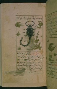 Constelaciones del zodiaco: Escorpio, el escorpión, de Talim dar marifat i taqvuim, 1498 (903 Hijra) de Abu Jafar al Tabari