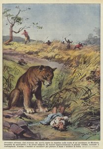 Aventuras africanas de Achille Beltrame