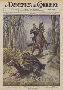 Cabalgata desafortunada, el Rey Alberto de Bélgica cae de su caballo y se fractura un brazo en el bosque de Soignes