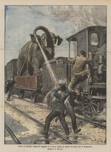 Como un elefante, cansado de viajar en tren, impidió la marcha del tren que lo transportaba
