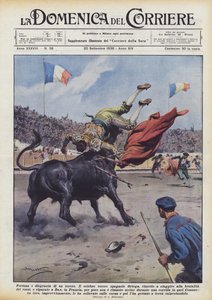 Fortuna y desgracia de un torero