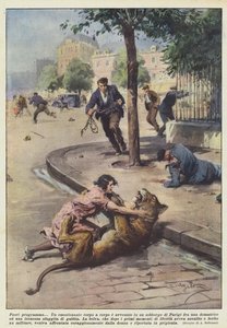 Fuera de programa de Achille Beltrame