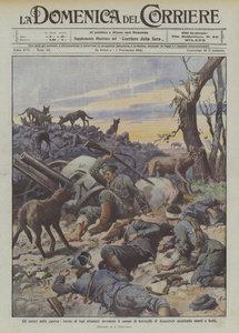 Los horrores de la guerra, hordas de lobos hambrientos invaden el campo de batalla de Augustow atacando muertos y heridos