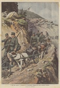 Los perros en la guerra, el transporte de suministros de agua a nuestras posiciones avanzadas de Achille Beltrame