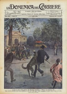 Los perros en ayuda de la policía