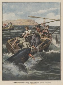 Los dramas del Adriático, niñas atacadas por tiburones cerca de las costas dálmatas