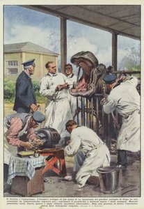El dentista y el hipopótamo de Achille Beltrame