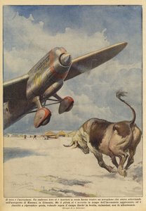 El toro y el avión