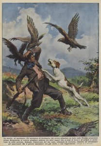 La caza al cazador