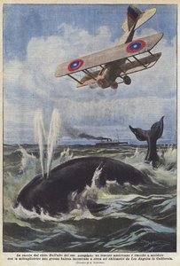 La caza desde el cielo de Achille Beltrame