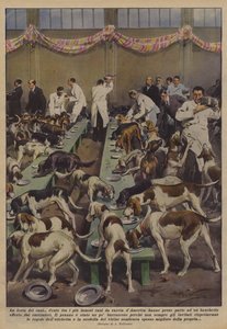 La fiesta de los perros de Achille Beltrame