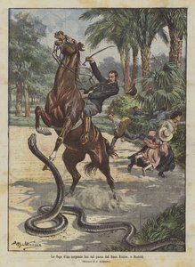 La fuga de una serpiente boa en el parque del Buen Retiro, en Madrid