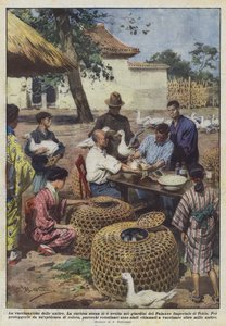 La vacunación de los patos de Achille Beltrame