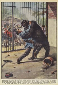 El abrazo del monstruo