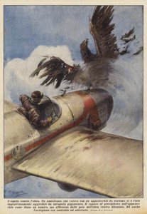 El águila contra la hélice