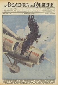 El buitre contra el avión de Achille Beltrame