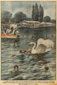 Las furias de un cisne