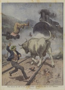 Vaca enfurecida que mata a un hombre y luego es atropellada y triturada por un tren entre Lucca y Castelnuovo de Achille Beltrame