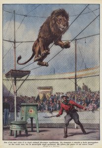 Nunca se había visto al rey de los animales convertirse en equilibrista