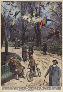 Paseando por los bosques cerca de Londres y especialmente en el de Epping, sucede a los pacíficos