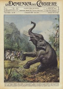 Antes de dejar Somalia el Rey fue a cazar elefantes