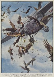 Rivales en el cielo
