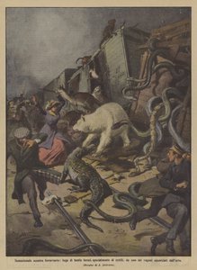 Sensacional choque ferroviario, fuga de bestias feroces, especialmente de reptiles de Achille Beltrame