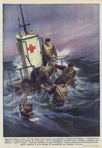 Refugios singulares en el mar