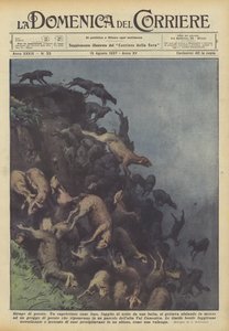 Matanza de ovejas
