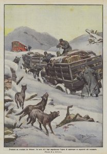 Desgracias tras desgracias en Abruzzo, la nieve y los lobos impiden la asistencia a los supervivientes del terremoto