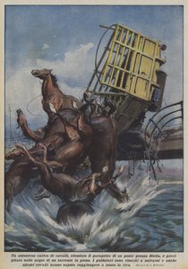 Un camión cargado de caballos, roto el parapeto de un puente cerca de Biella, se precipitó de Achille Beltrame