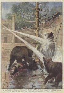 Un drama en la Fosa de los osos, en Berna