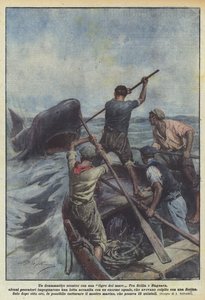 Un dramático enfrentamiento con un tiburón
