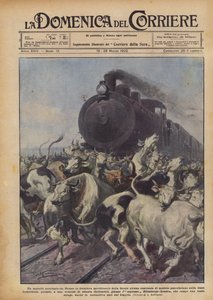 Una matanza involuntaria